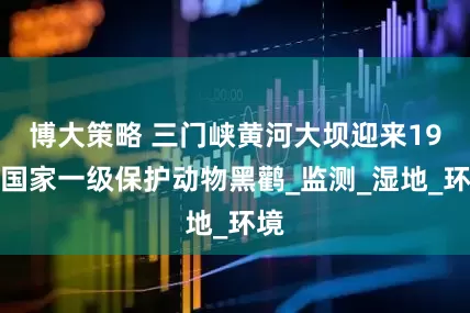 博大策略 三门峡黄河大坝迎来19只国家一级保护动物黑鹳_监测_湿地_环境