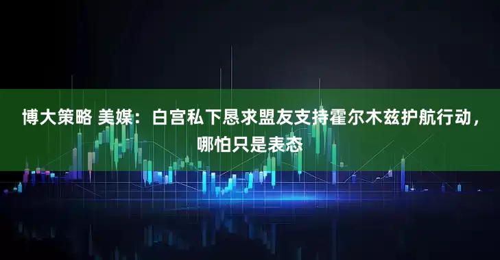博大策略 美媒：白宫私下恳求盟友支持霍尔木兹护航行动，哪怕只是表态