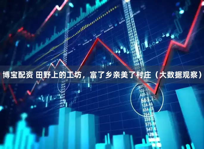 博宝配资 田野上的工坊，富了乡亲美了村庄（大数据观察）